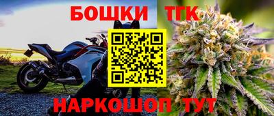 мдпв Вышний Волочёк