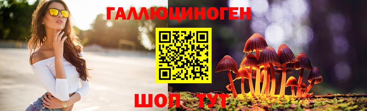 Псилоцибиновые грибы Psilocybe  Вход с VPN  Котельники 